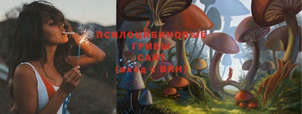 Альфа ПВП Волосово