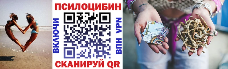 Галлюциногенные грибы Cubensis Инта